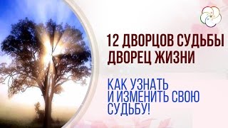 Дворец ЖИЗНИ "12 Дворцов судьбы" Бацзы и его расшифровка. Как прочитать СУДЬБУ и изменить ее
