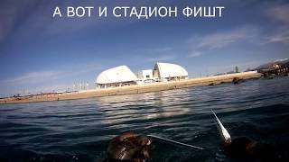 подводная охота на саргана у стадиона фишт