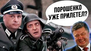 Порох в Киеве! Позорное шоу в аэропорту! Зеленский в очередной раз обделался!