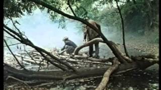 ВСЕ ЖИВОЕ - ТРАВА (Клиффорд Саймак).