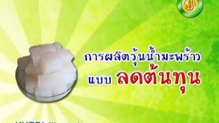 การผลิตวุ้นน้ำมะพร้าว แบบลดต้นทุน