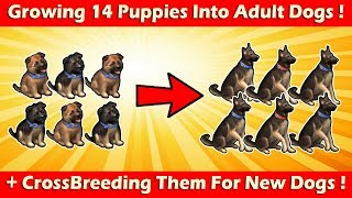 Growing 14 Puppies Into Adult Dogs + Breeding Them (1.9.4)! Last Day On Earth Survival
