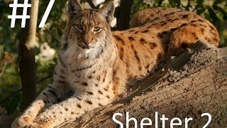 [GER] Shelter 2 #7 Secrets!