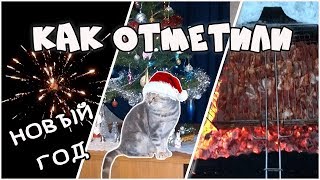 Отмечаем Новый Год! Запускаем Салют. Шашлыки из символа года. Жизнь в деревне.