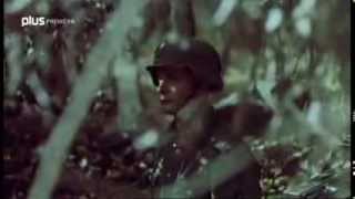 Vojna vo farbe Adolf Hitler Dokument