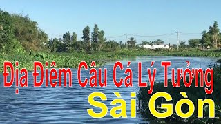 Địa Điểm Câu Cá Lý Tưởng Nằm Ngoại Ô Sài Gòn | Tống Bảo Toàn