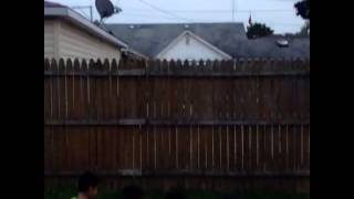 The backyard cult