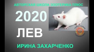 ♌ЛЕВ. Гороскоп на 2020 год. Прогноз на 12 домов гороскопа. ТАРО-ПРОГНОЗ.