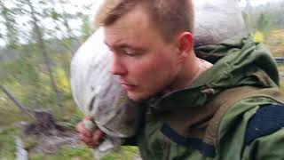 гребу деньги . сбор ягод . money from the forest . berry