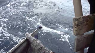 SACCUCCI - PESCA SUB - Heny curricando...