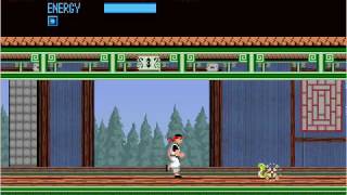 Kung Fu 2 (Kung-Fu Master remake)