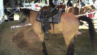 pony poop