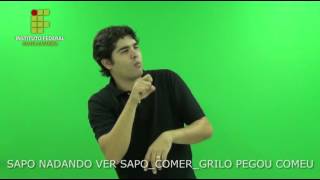 Conto em Libras  "O sapo e a Flor" - legendado