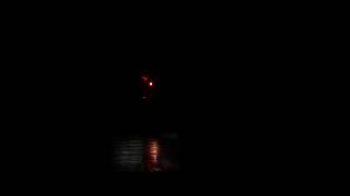 The Lights