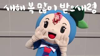 #새해 #복 많이 받는 필수 영상! 새해 복 아직 안 받으셨나요? 새해 복 꼭 많이 받으새령!#새령이