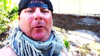Donnie Baker's Conspiracy Theory about the Women's March and Vaginal Kung Fu