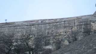 Козлы самоубийцы (часть 1)