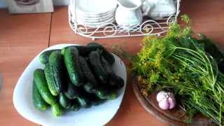 Малосольные огурцы