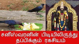 சனீஸ்வரனின் பிடியிலிருந்து தப்பிக்கும் ரகசியம்