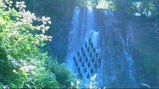 Chillout music, forest, nature, water