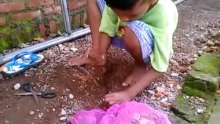 CARA MEMBUAT SESER IKAN SEDERHANA ANAK ANAK