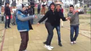 Vishe Nismo Normalni - Romano Harlem shake