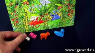 Лесные Прятки. Обзор настольной игры от Игроведа