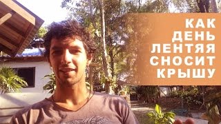 Как день лентяя сносит крышу - Planeta108.com