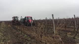 Szőlőben oszlop kiszedése Zetor Major 80, MTZ 82