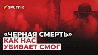 "Черная смерть" Бишкека. Как нас убивает смог