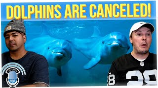 Dolphins Recognize Their Friends by Tasting Their Urine