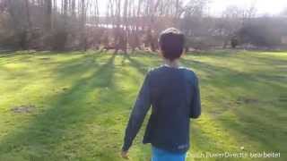 Slenderman im Wald?! (hide and seek-simulator) Trailer