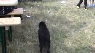 žízníkov 2 wmv