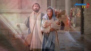 EL EVANGELIO DE HOY: SAN LUCAS 2, 22-40 (02/02/2020)