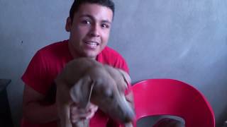 Una bomba! Bella y Kenny