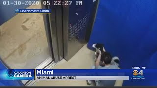 Miami Man Charged With Cruelty After Abusing Puppy In Elevator