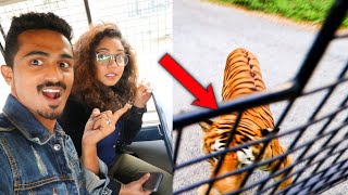 OMG!! ഞങ്ങളെ അവർ കടുവ കൂട്ടിലടച്ചു ? Wild Safari | Bannerghatta Biological Park