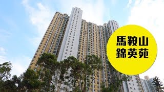 【錦英苑】年輕首置上車盤