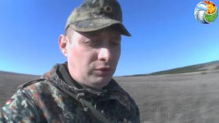 По полям, по лесам, по оврагам....