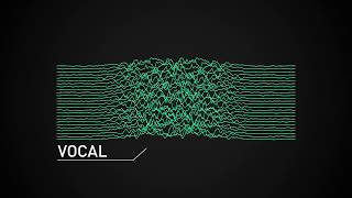 Acid Pro Next Audio Separation Example - Extracted Vocal