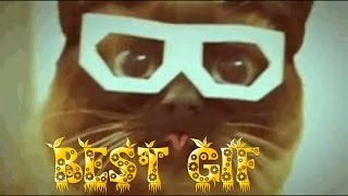 BEST GIF \ Пошлые \ Эротические \ ЛУЧШИЕ ПРИКОЛЫ \ 18+ \ №5
