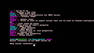 BasicSetup CLI