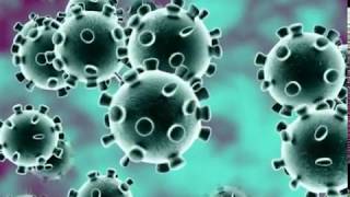 Corona virus explained in Hindi Urdu Corona Virus China Full Explain