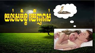 យល់សបិន្តឃើញពស់​​/កាត់យល់សបិន្ត/khmer dream