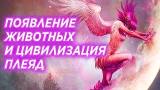 ПОЯВЛЕНИЕ ЖИВОТНЫХ И ЦИВИЛИЗАЦИЯ ПЛЕЯД. Георгий Бореев. История гуманоидных цивилизаций Земли