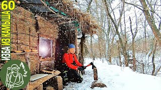 Зимний день в Избе: кормлю птиц и себя ???? Бушкрафт в Избе из камыша - Серия 60