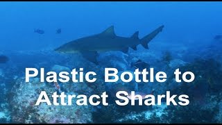Plastic Bottle to Attract Sharks