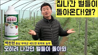 [한국농수산TV] 집나간 벌들이 돌아온다! 아니 남의 것도 빼앗아 온다!! 왜? 충남 부여