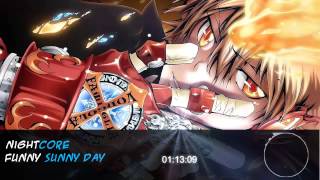 Nightcore Funny Sunny Day