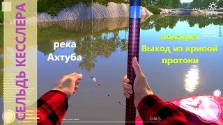 Русская рыбалка 4 - река Ахтуба - Сельдь в конце карты